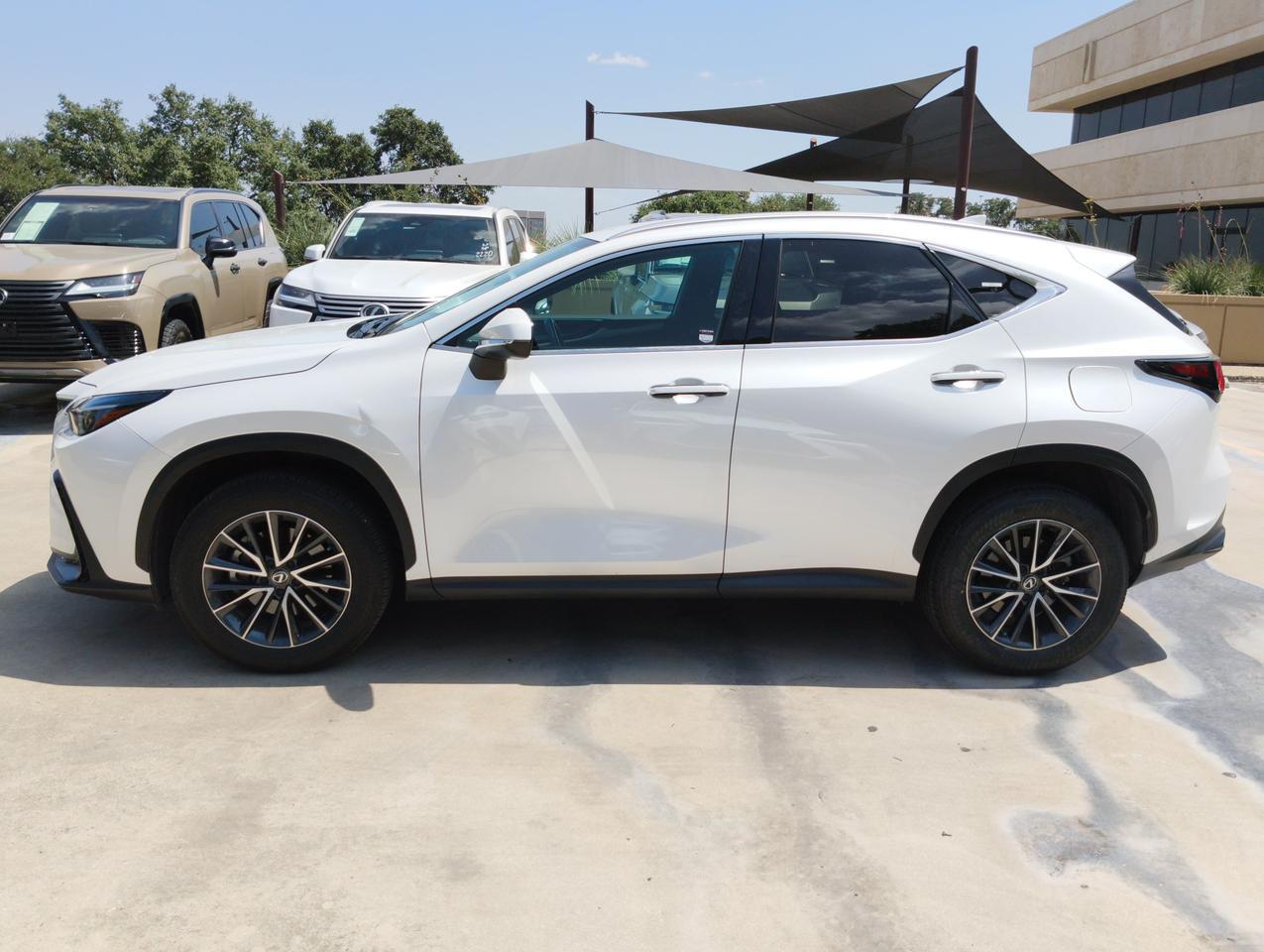 2025 Lexus NX
