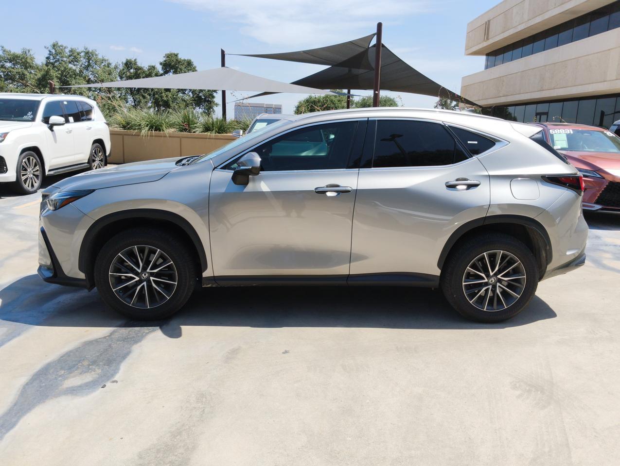 2025 Lexus NX 250
