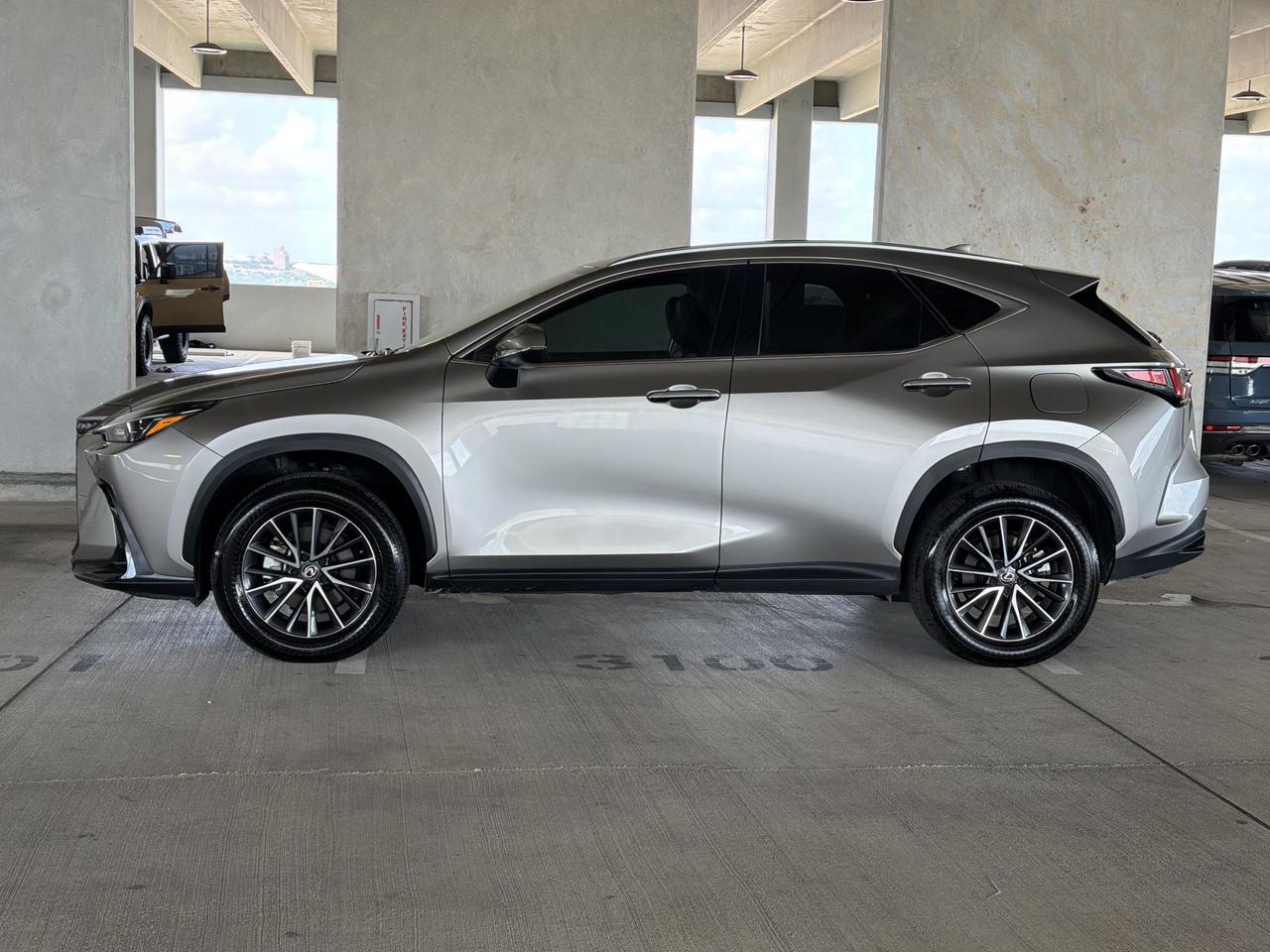 2025 Lexus NX 250