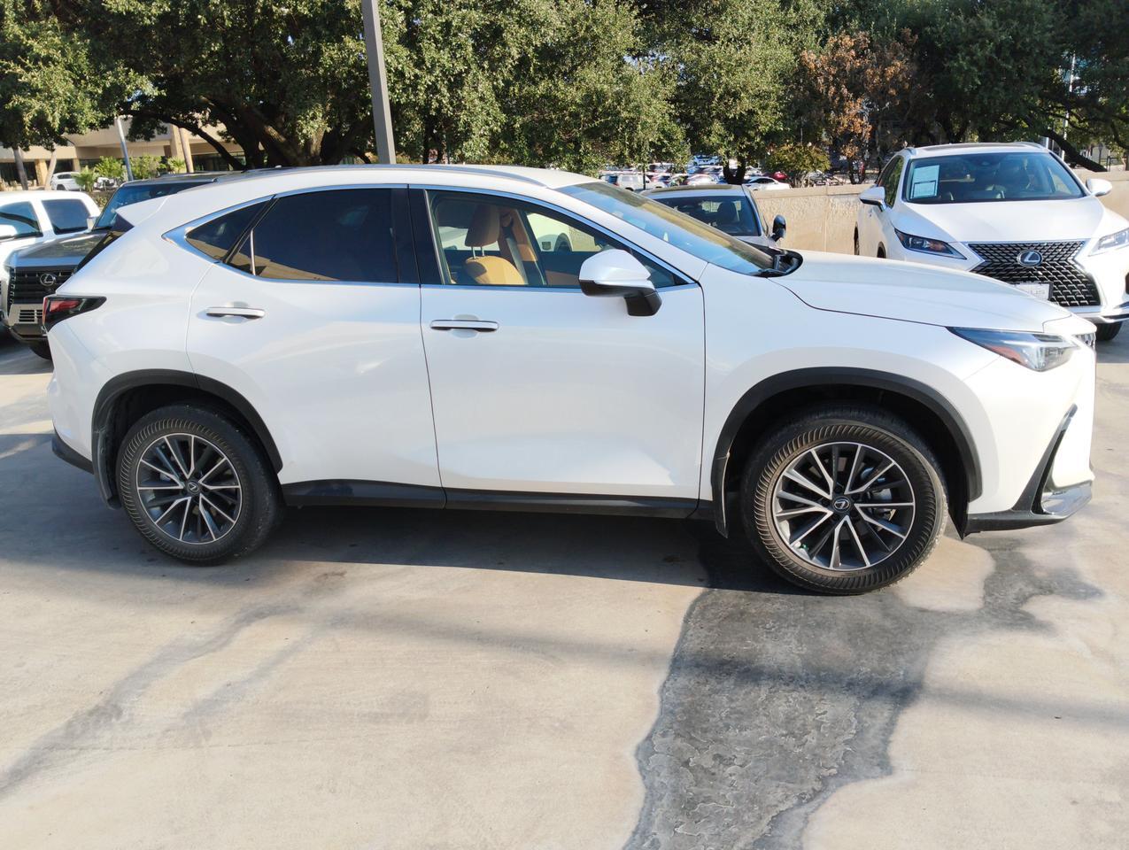 2025 Lexus NX 250 San Antonio TX