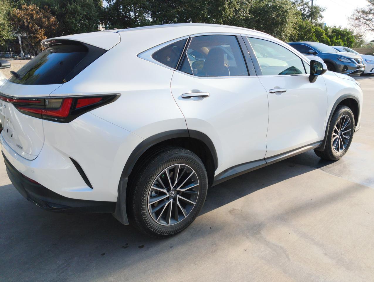 2025 Lexus NX 250 San Antonio TX
