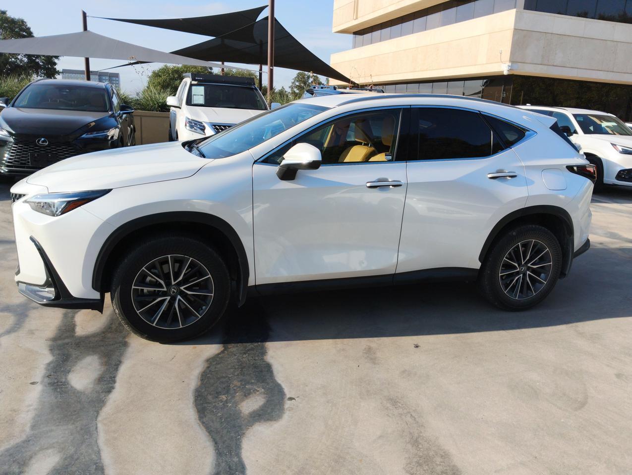 2025 Lexus NX 250 San Antonio TX