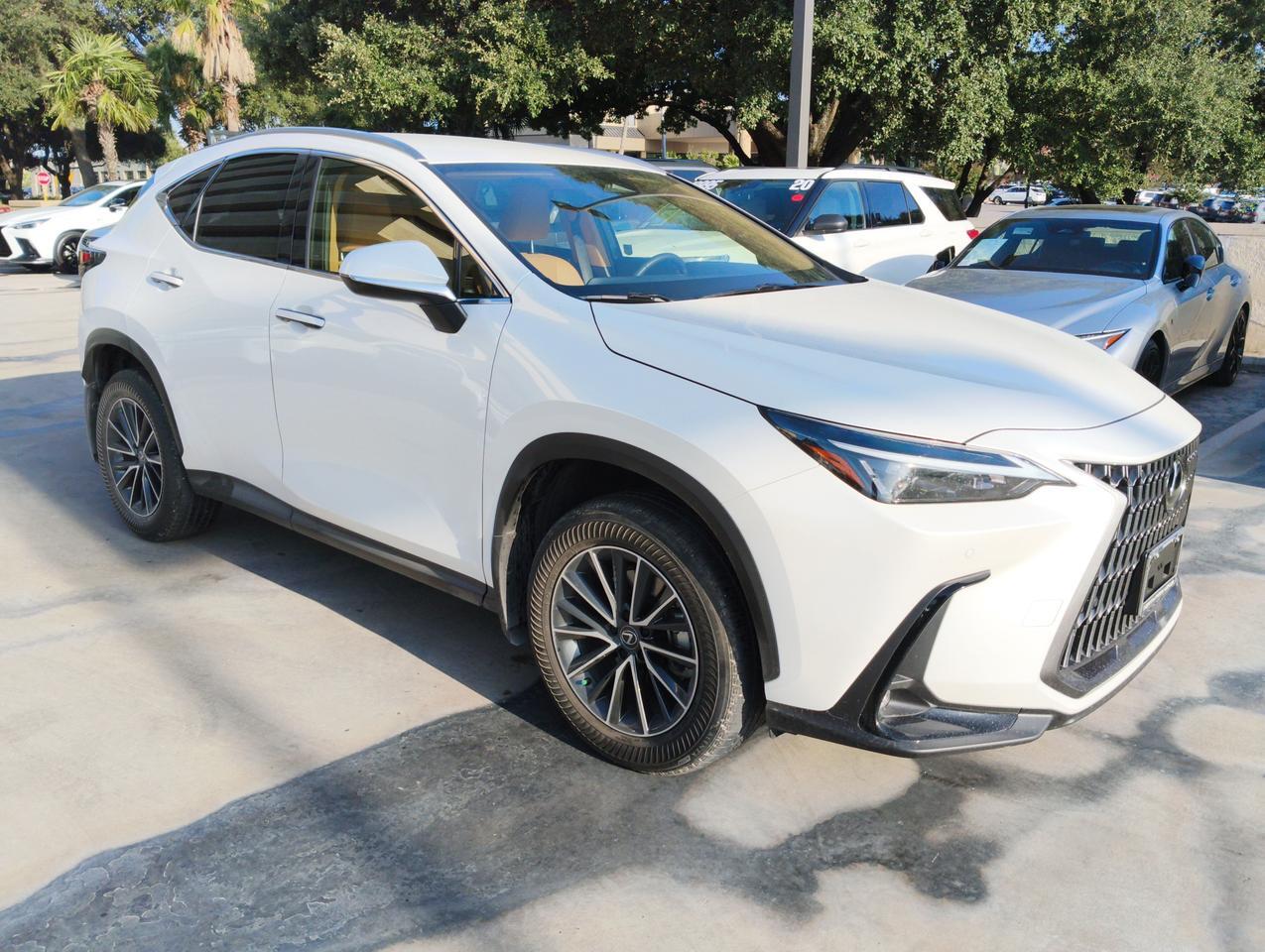 2025 Lexus NX 250 San Antonio TX