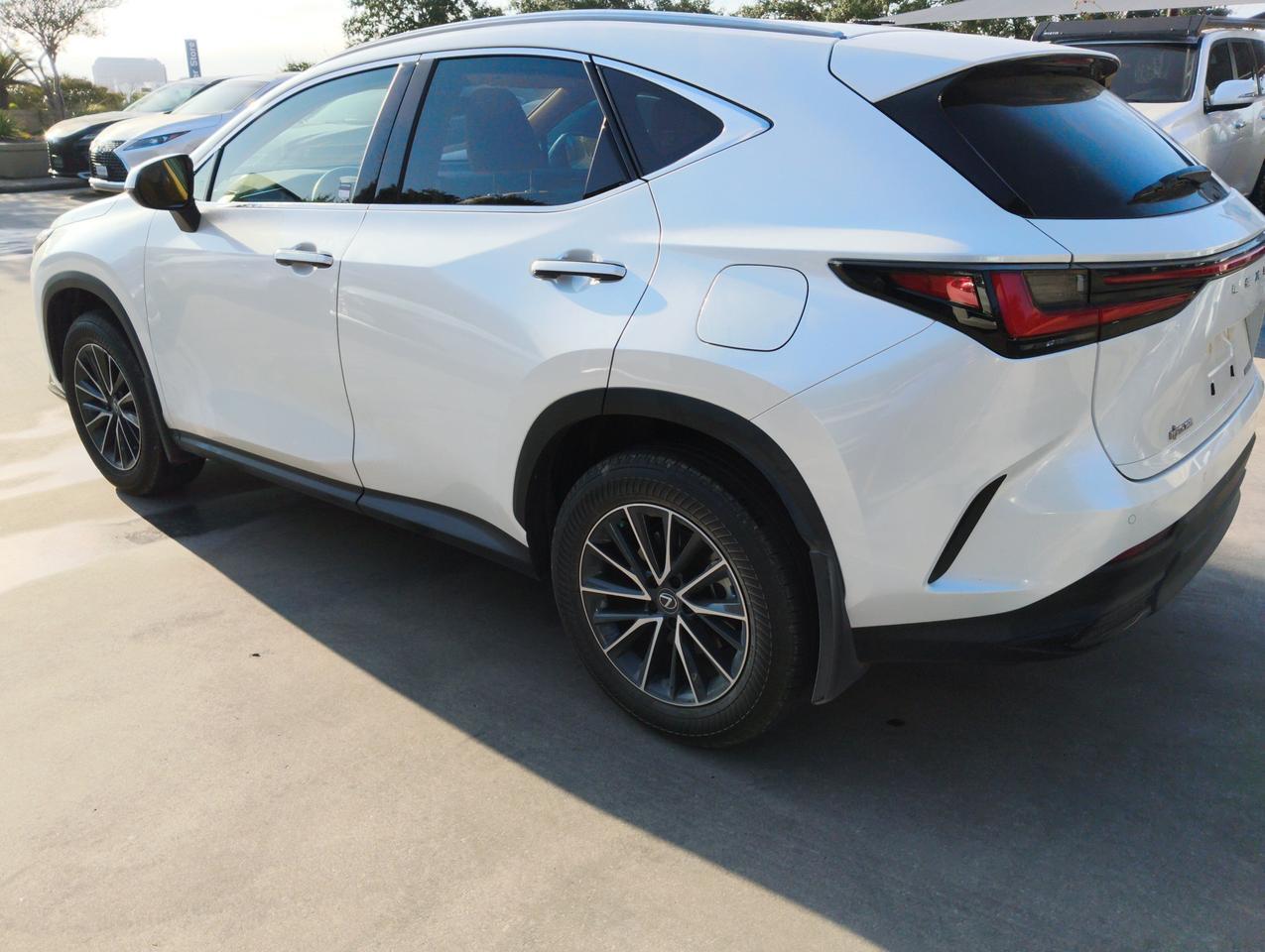 2025 Lexus NX 250 San Antonio TX