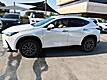 2025 Lexus NX 250