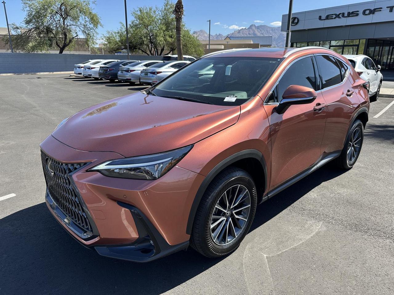 2025 Lexus NX 250 Tucson AZ