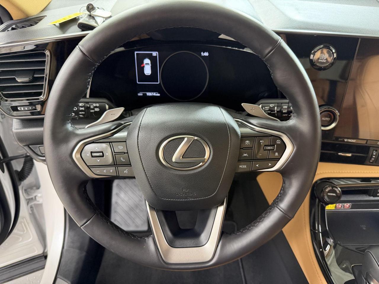 2025 Lexus NX 250 Annapolis MD