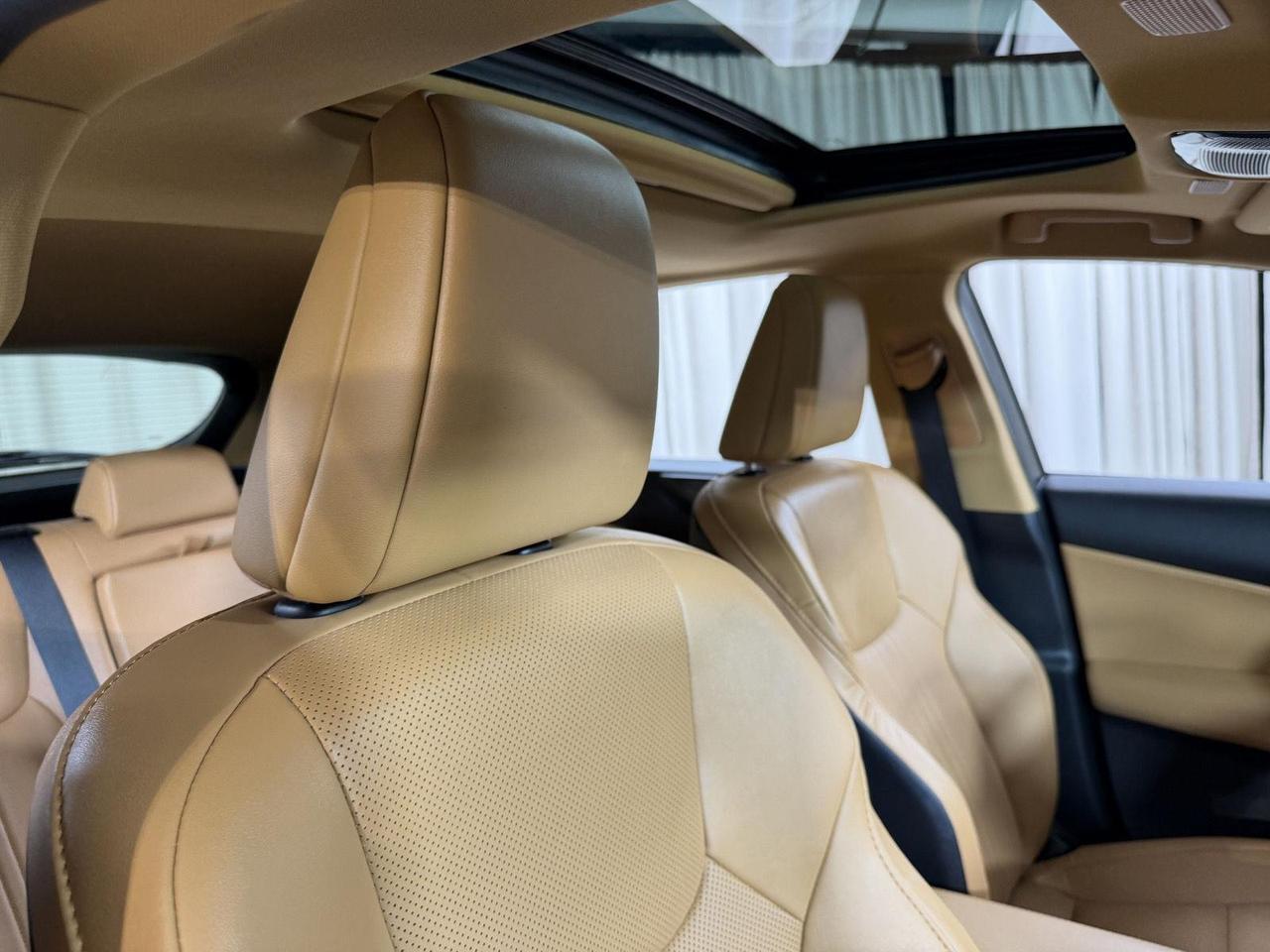 2025 Lexus NX 250 Annapolis MD