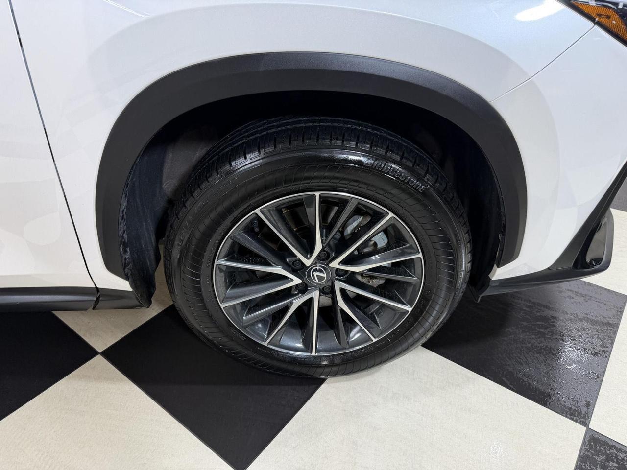 2025 Lexus NX 250 Annapolis MD