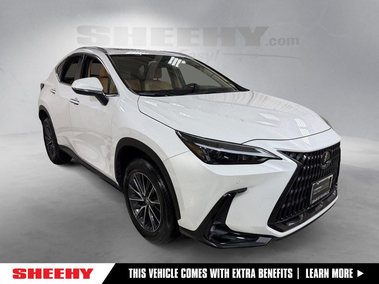 2025 Lexus NX