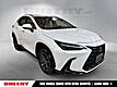 2025 Lexus NX 250