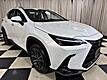 2025 Lexus NX 350 Base