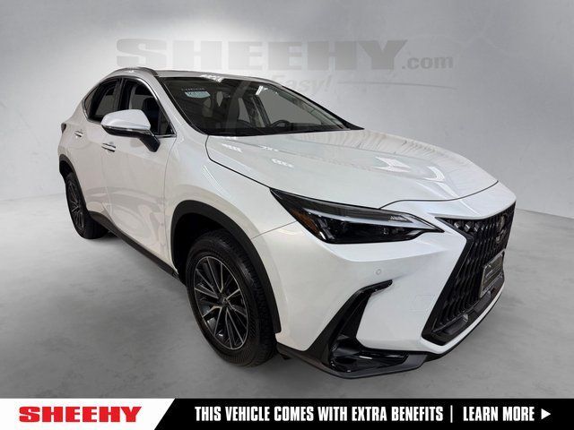 2025 Lexus NX