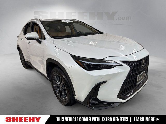 2025 Lexus NX