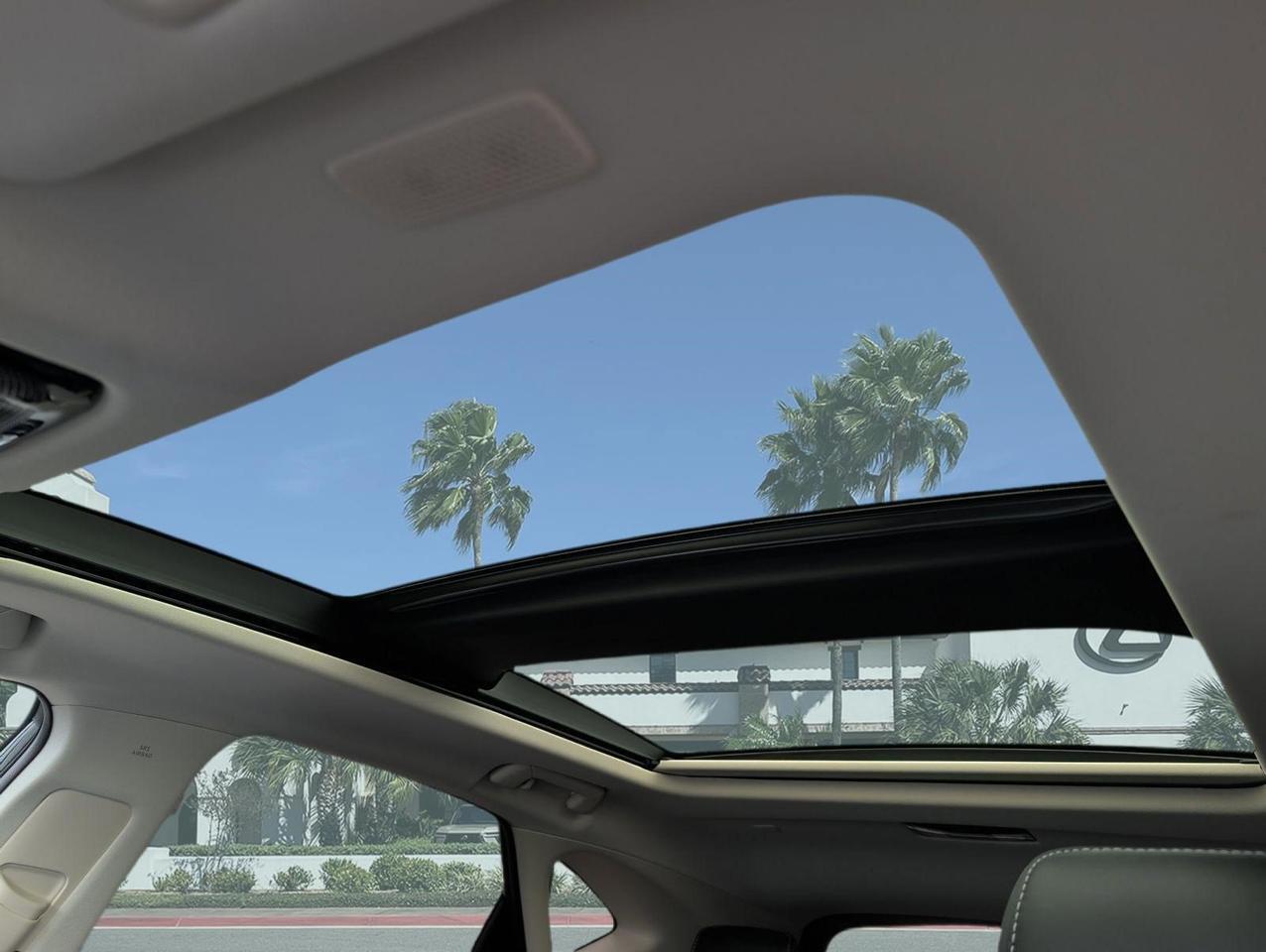2025 Lexus NX 350 Luxury San Juan TX