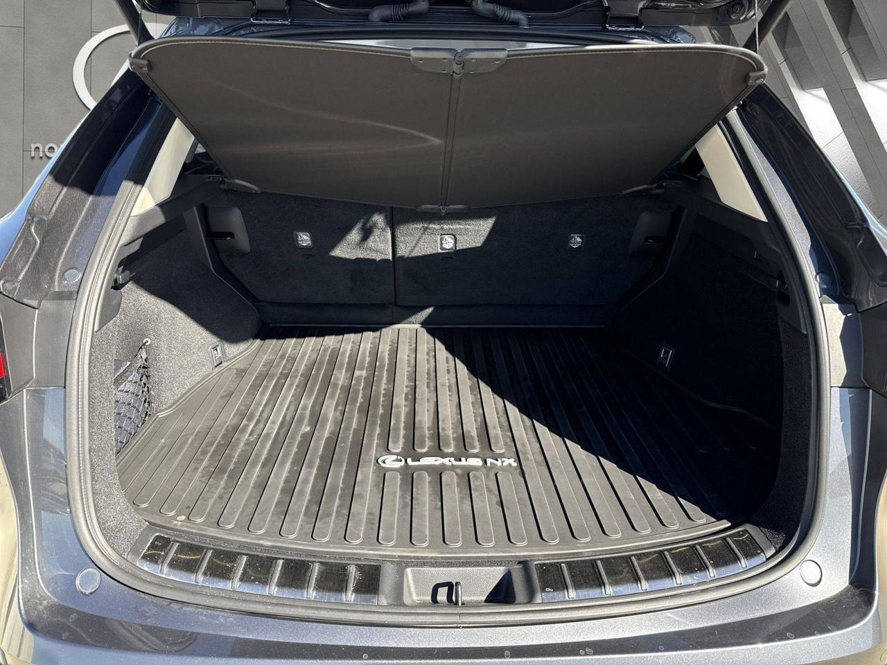 2025 Lexus NX 350 Luxury San Antonio TX