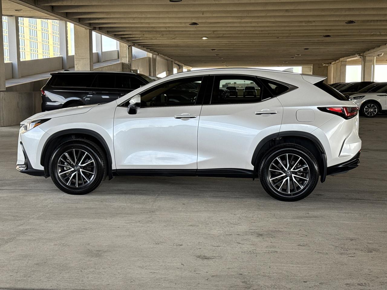 2025 Lexus NX