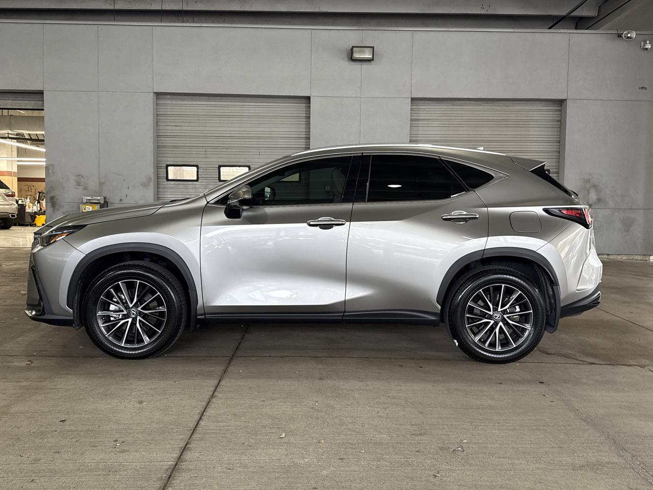 2025 Lexus NX 350 Luxury