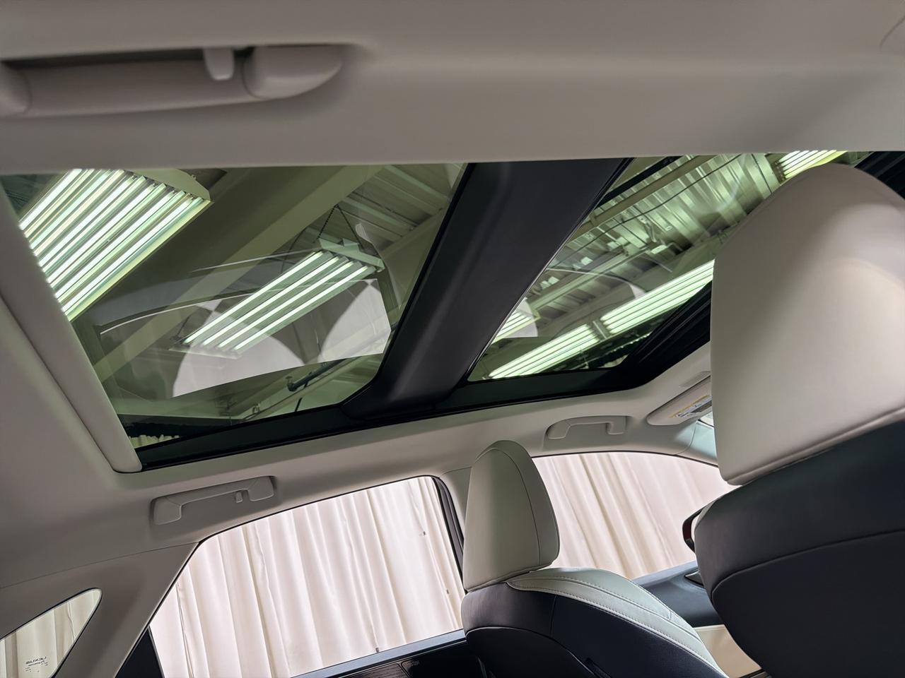 2025 Lexus NX 350 Luxury Annapolis MD