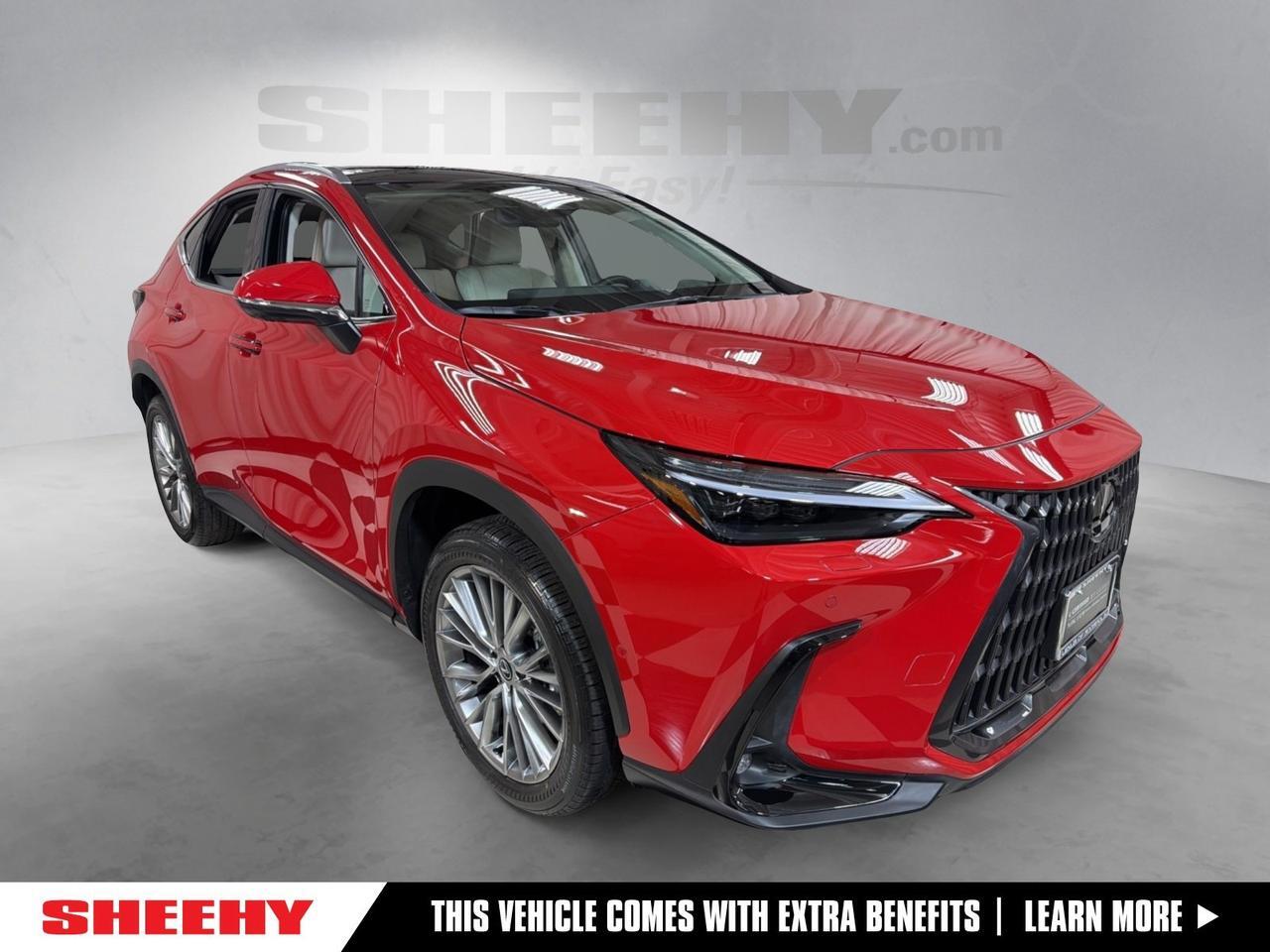 2025 Lexus NX 350 Luxury