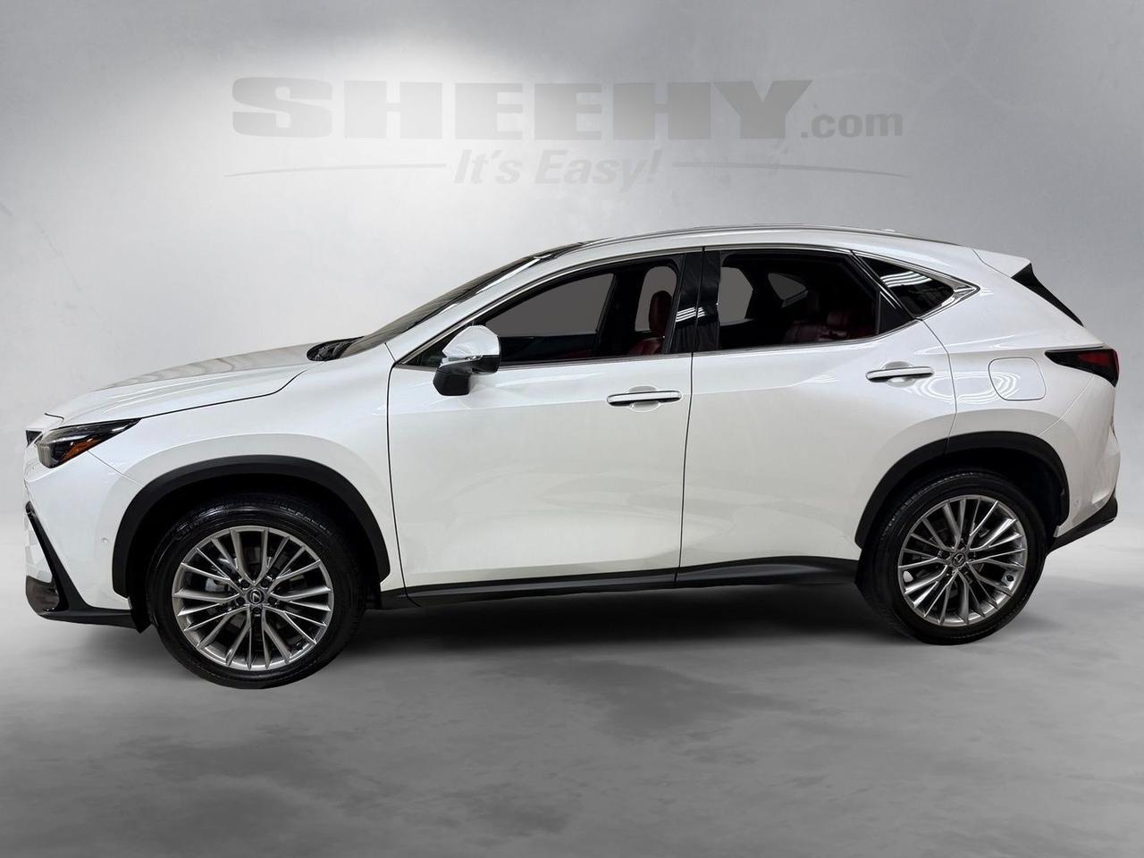 2025 Lexus NX 350 Luxury Annapolis MD