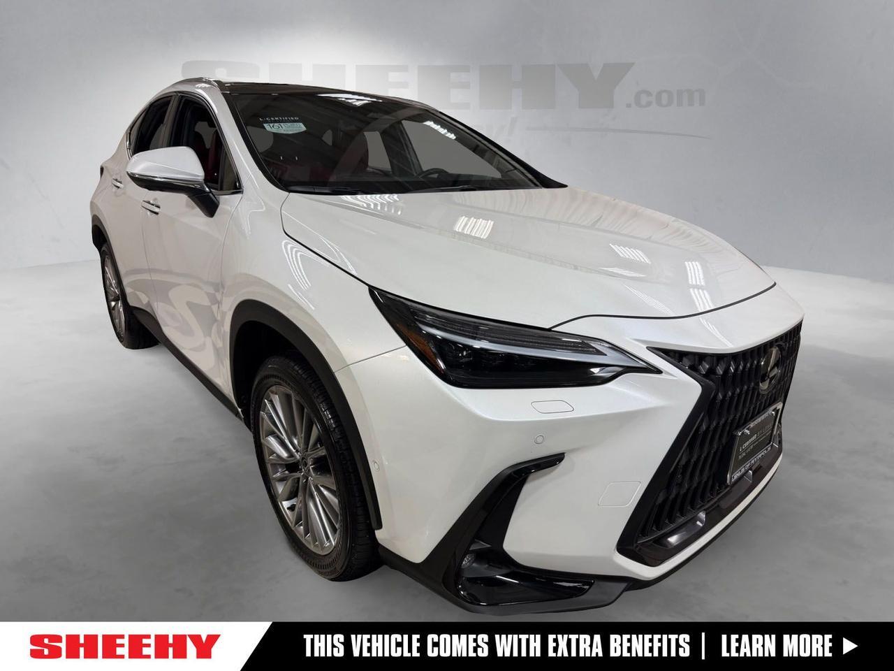 2025 Lexus NX 350 Luxury