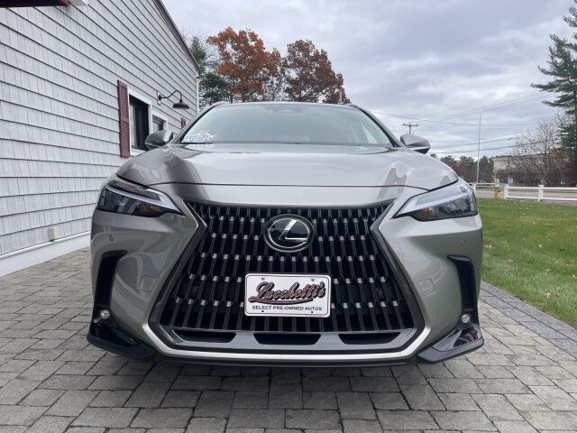 2025 Lexus NX 350