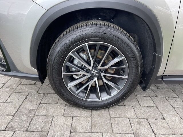 2025 Lexus NX 350 Marshfield MA