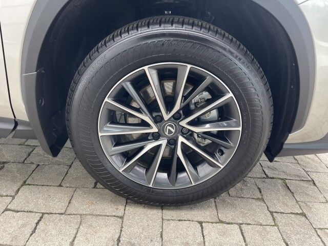 2025 Lexus NX 350 Marshfield MA