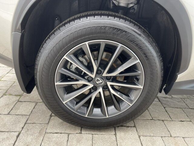 2025 Lexus NX 350 Marshfield MA