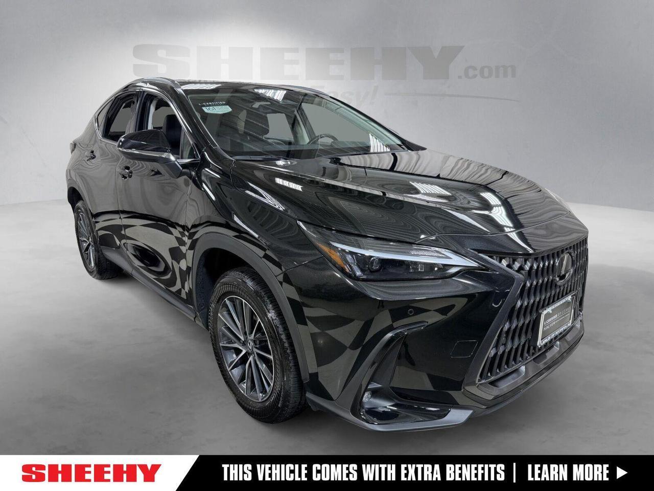 2025 Lexus NX