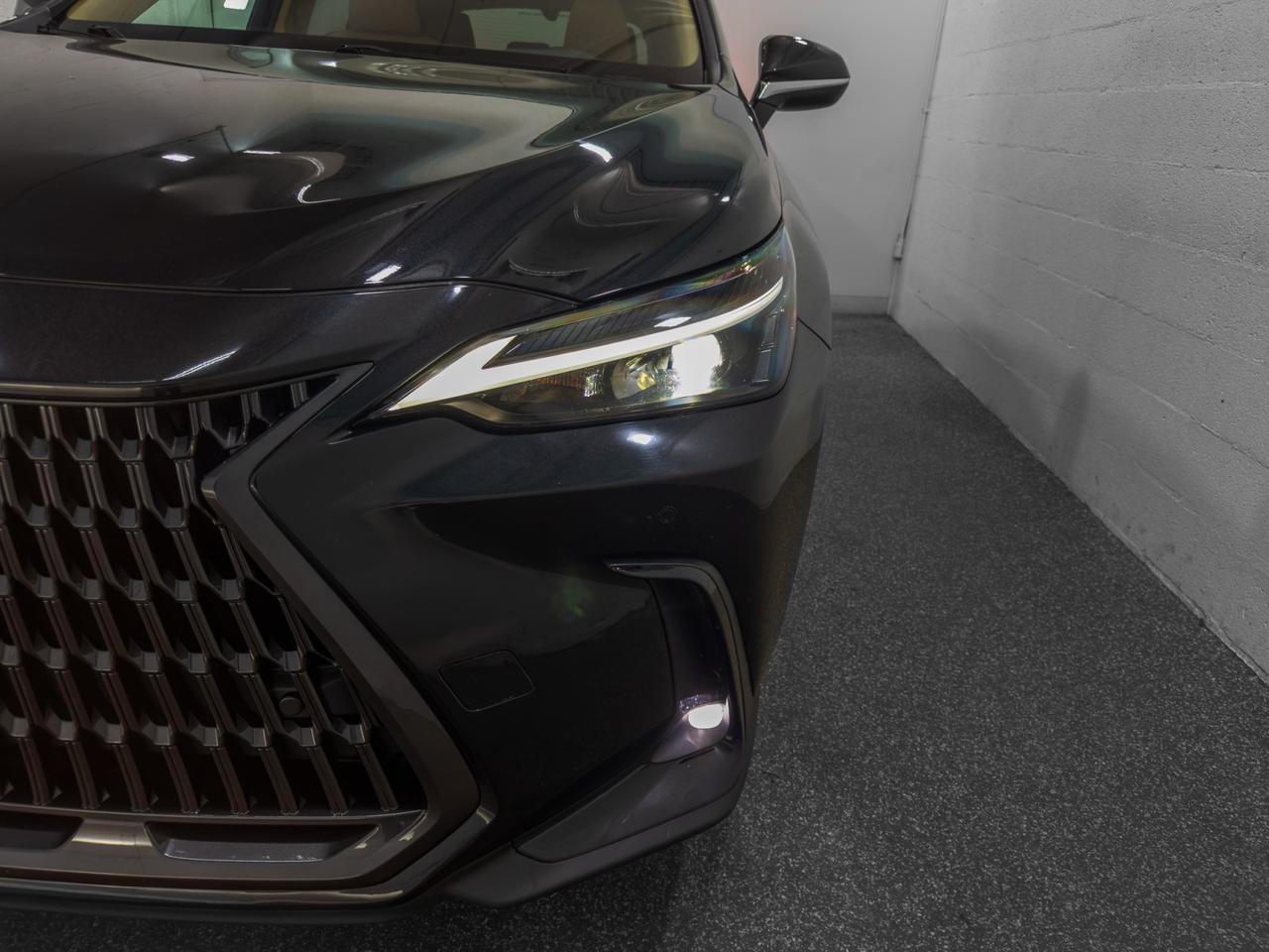 2025 Lexus NX 350 Premium AWD Tallmadge OH