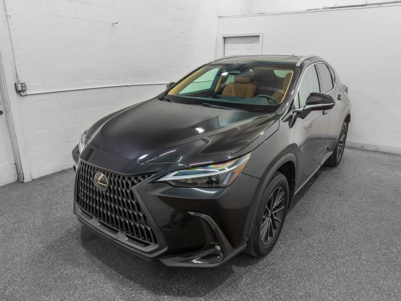 2025 Lexus NX 350 Premium AWD Tallmadge OH