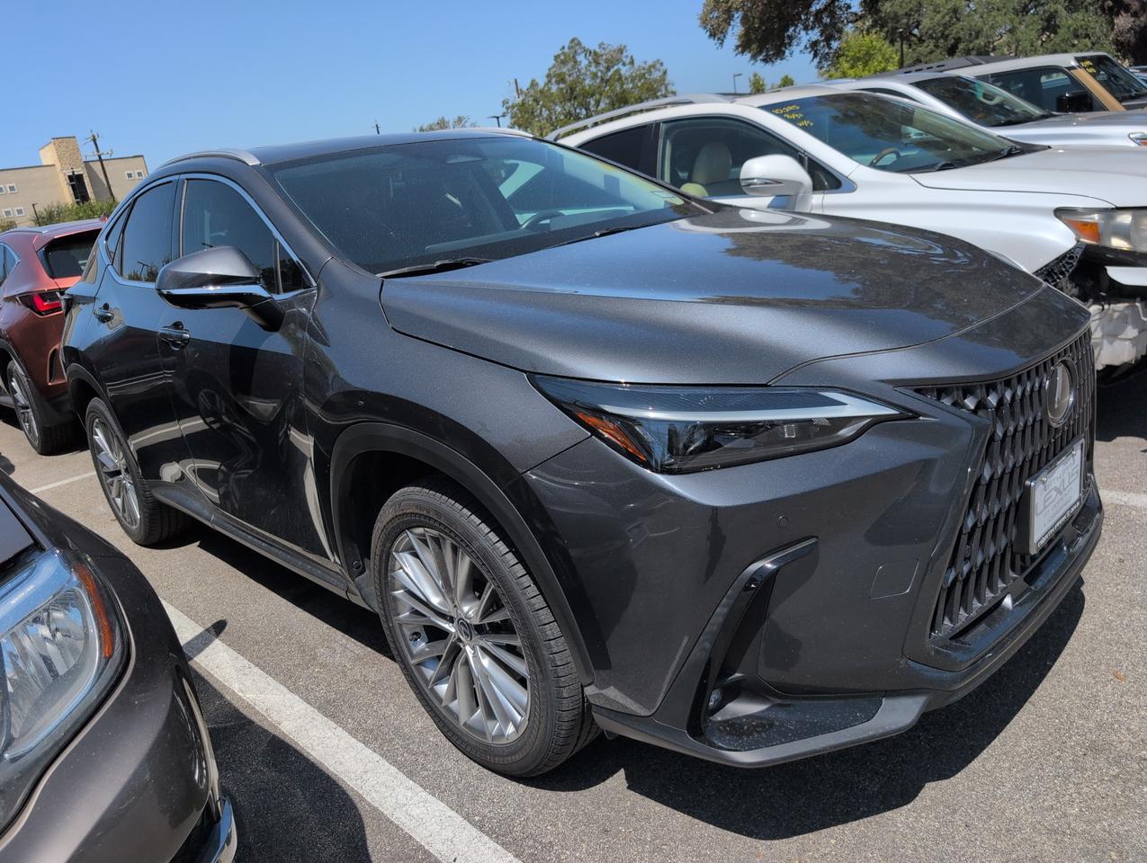 2025 Lexus NX 350 Premium