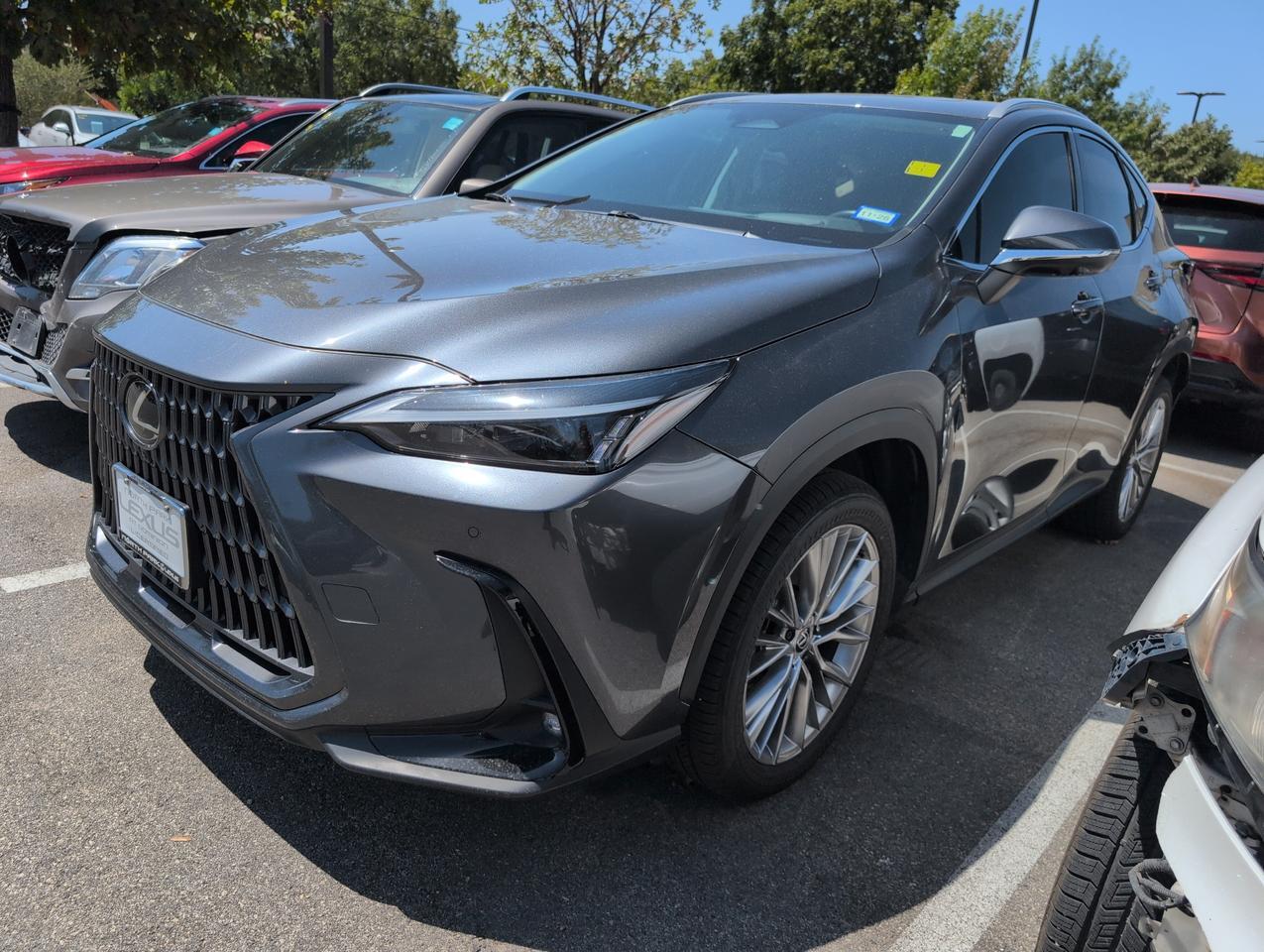 2025 Lexus NX