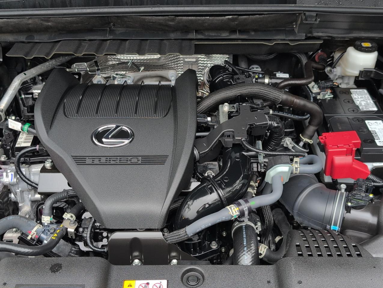 2025 Lexus NX 350 Premium San Antonio TX