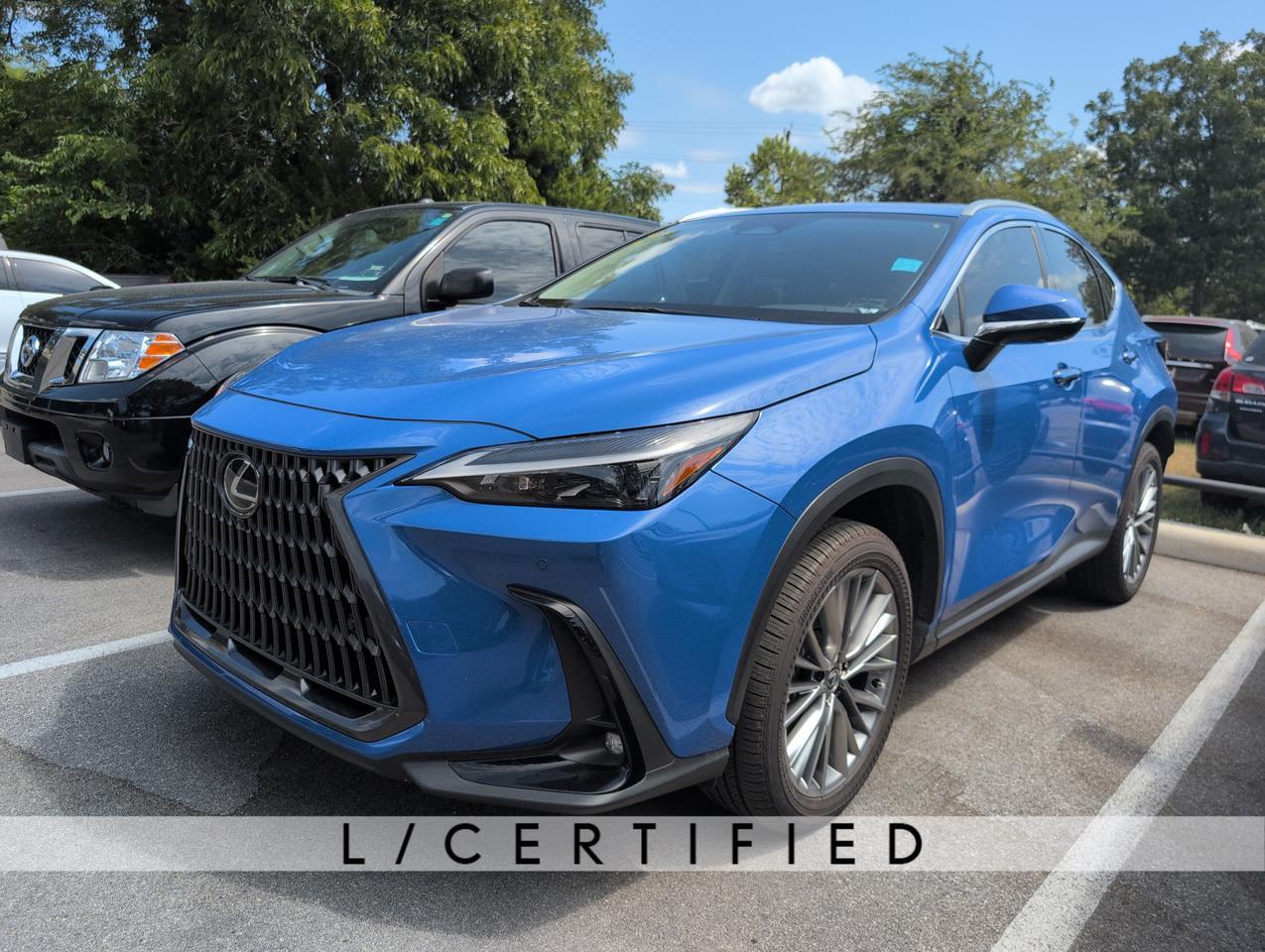 2025 Lexus NX