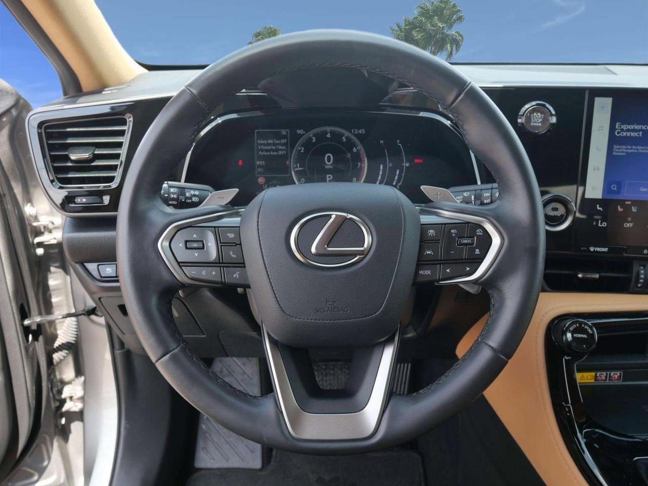 2025 Lexus NX 350 Premium San Juan TX