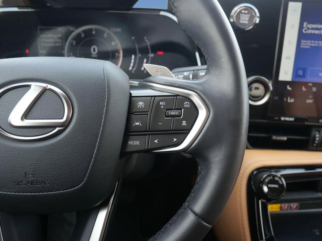 2025 Lexus NX 350 Premium San Juan TX