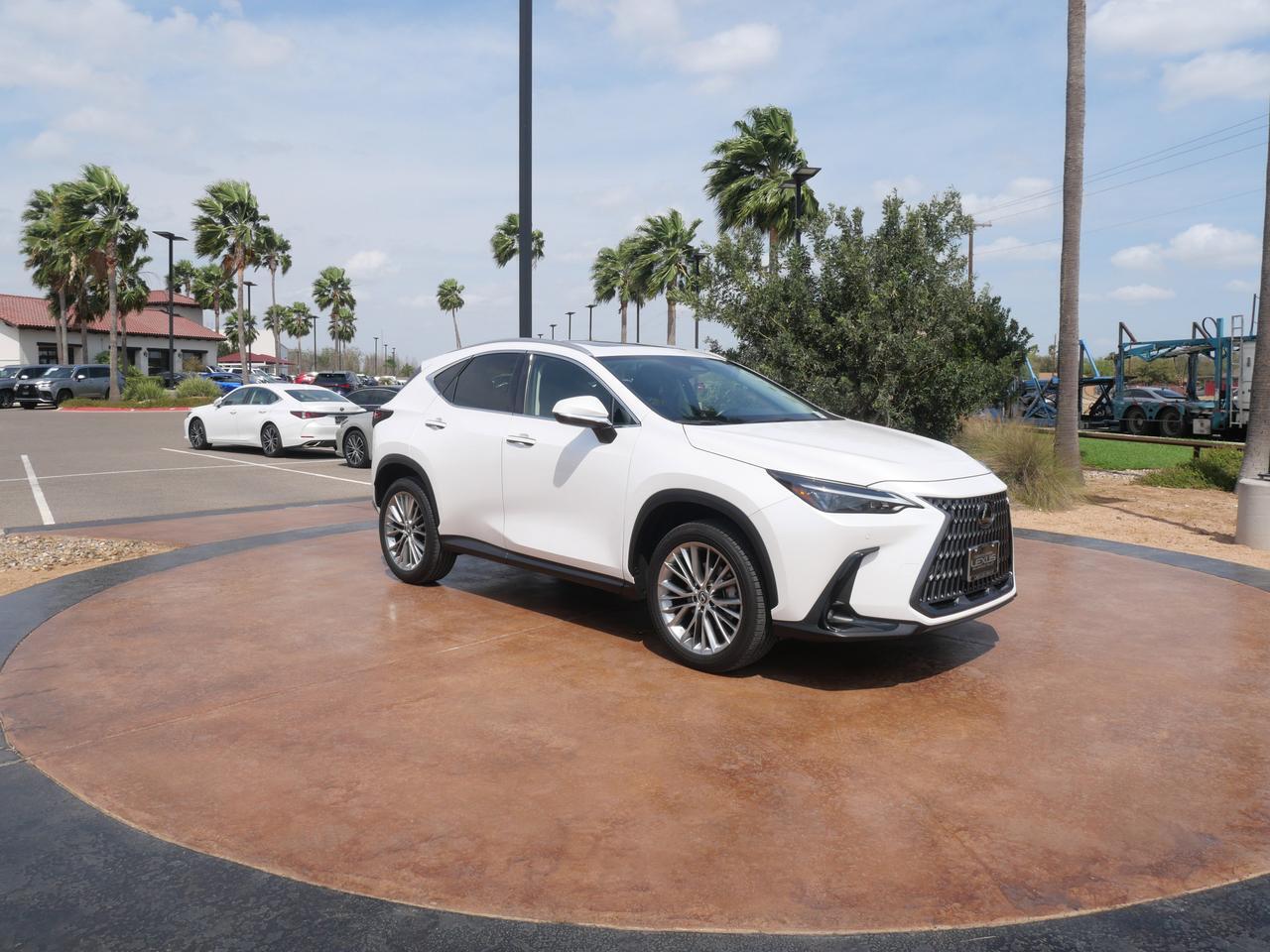 2025 Lexus NX 350 Premium