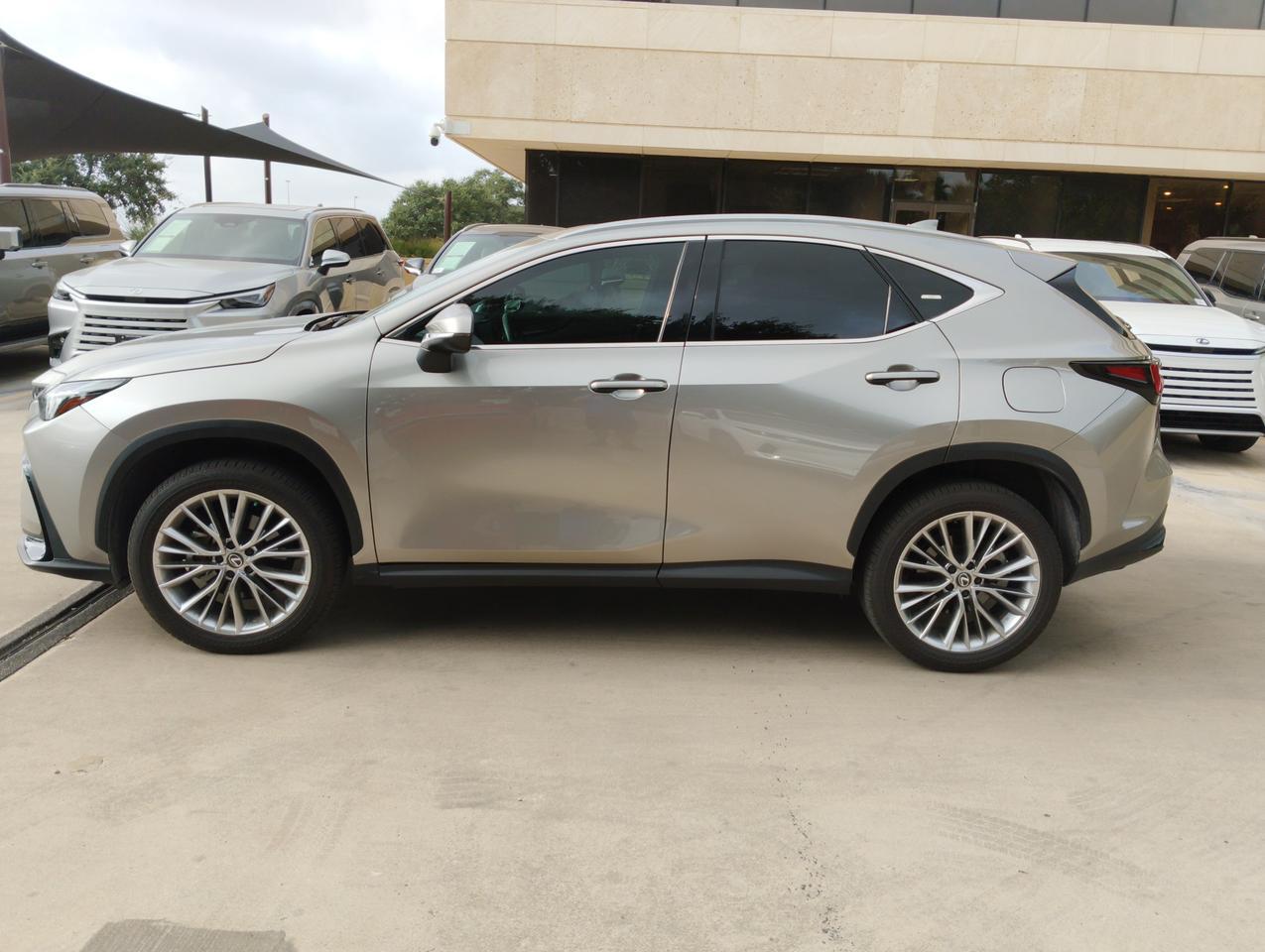2025 Lexus NX