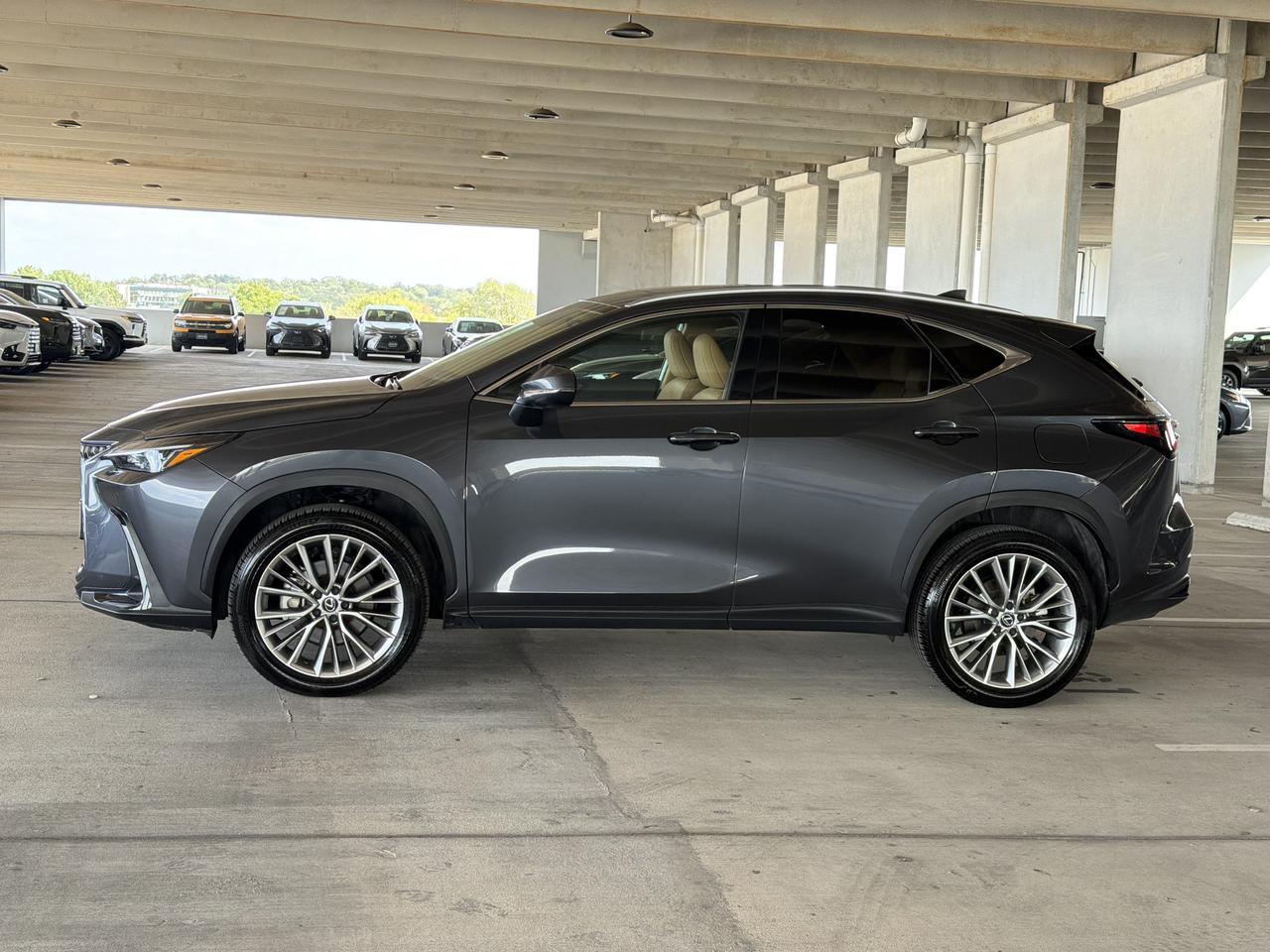 2025 Lexus NX 350 Premium