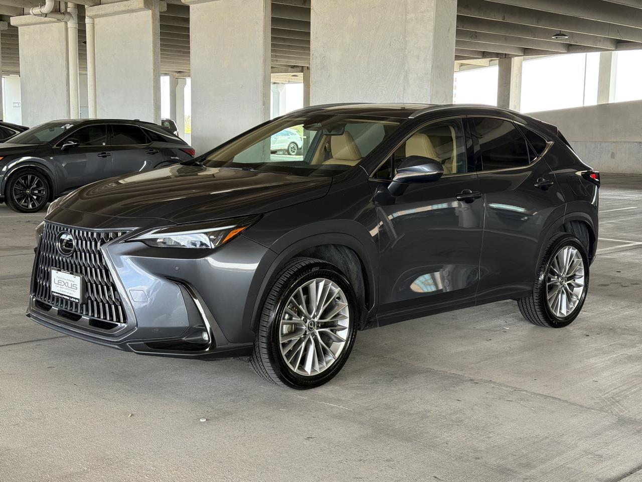2025 Lexus NX 350 Premium