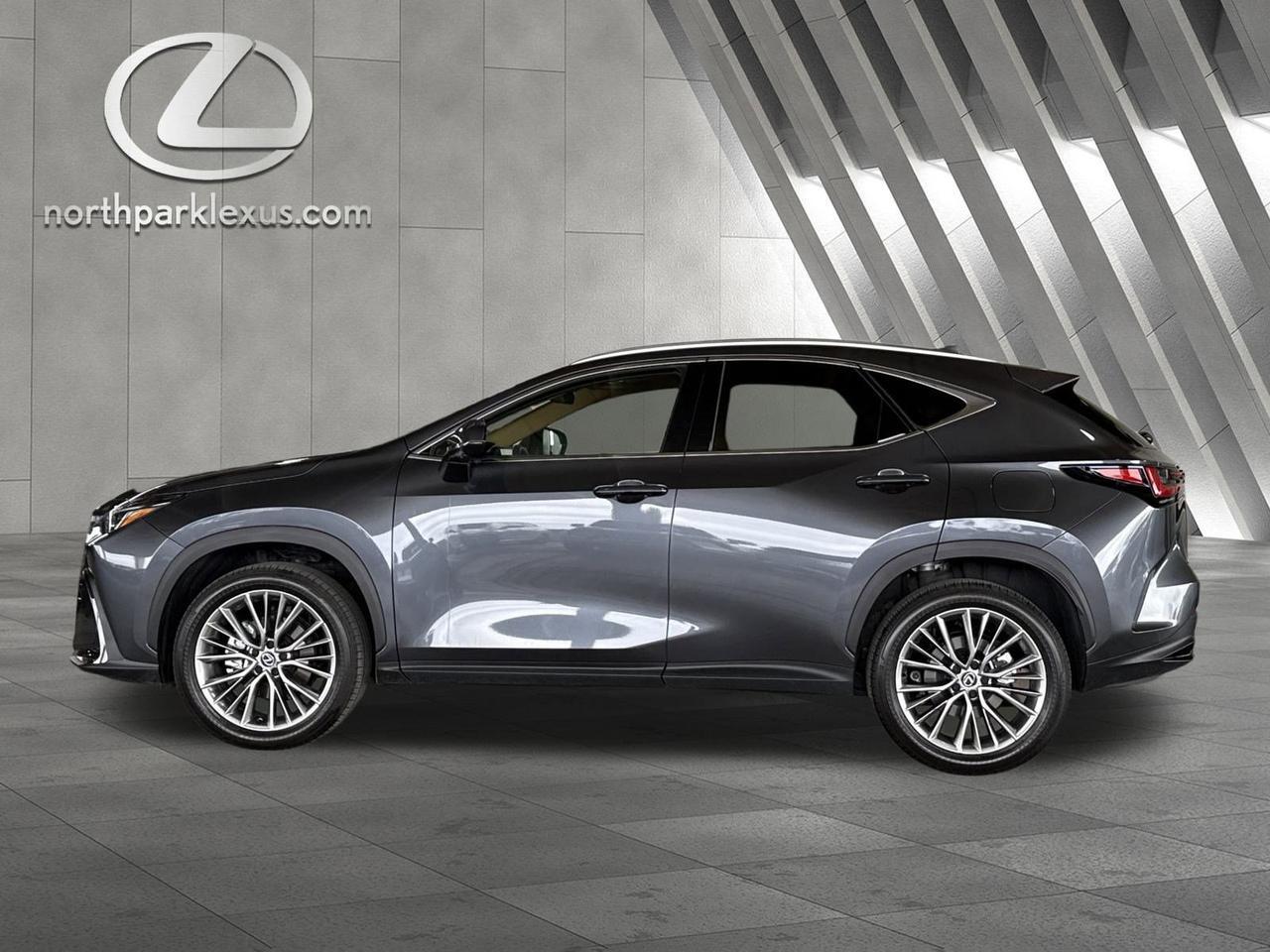 2025 Lexus NX