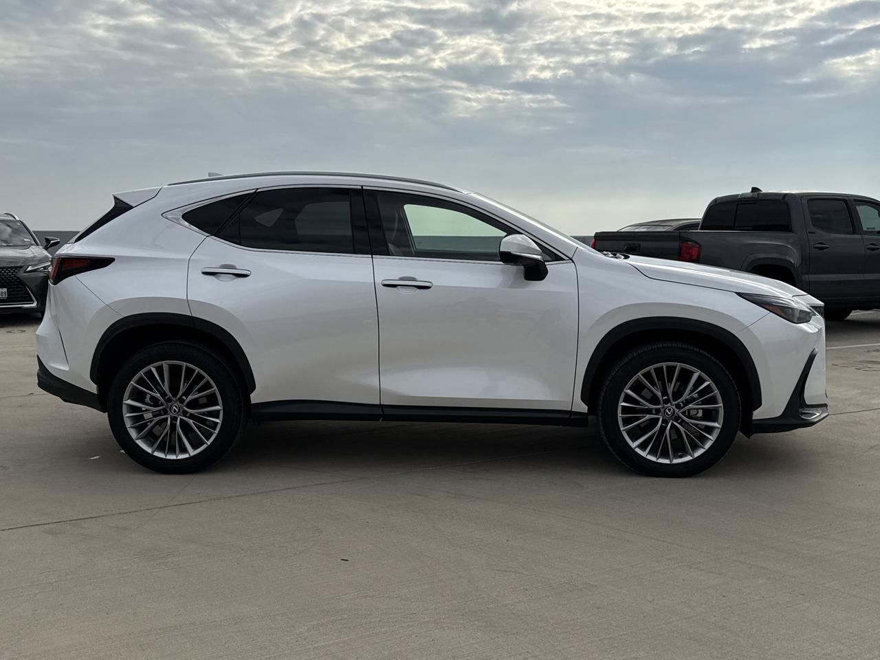 2025 Lexus NX 350 Premium San Antonio TX