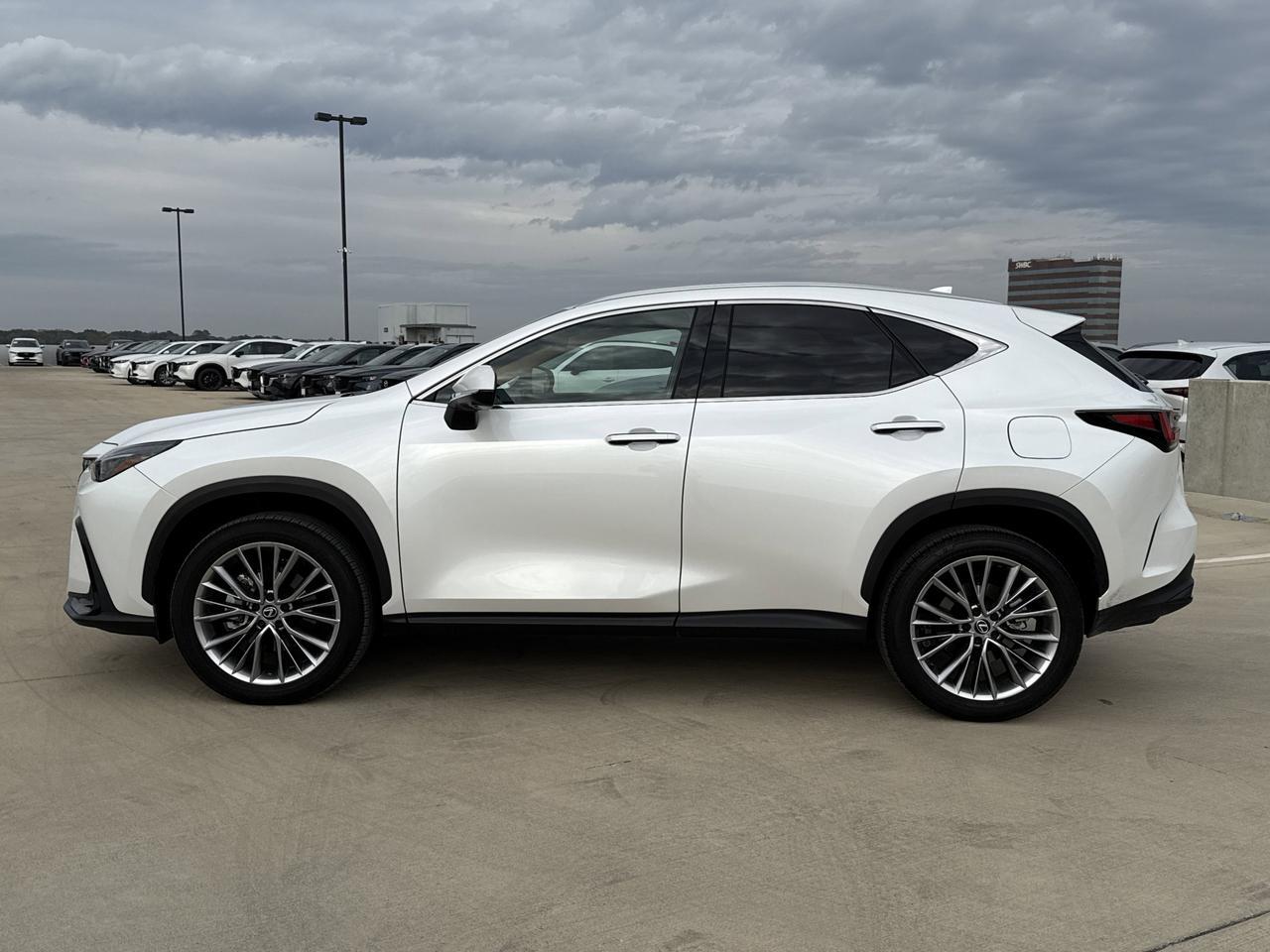 2025 Lexus NX 350 Premium