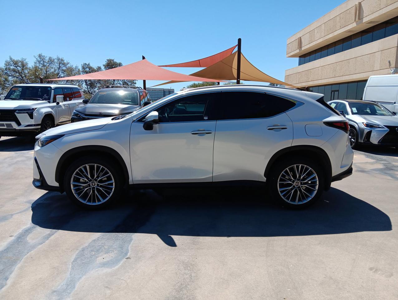 2025 Lexus NX