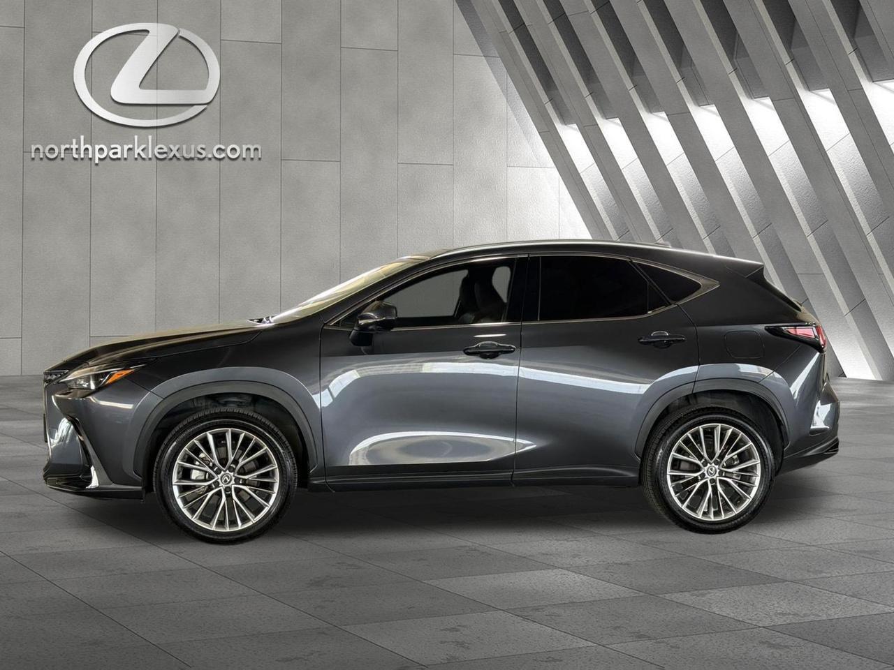 2025 Lexus NX