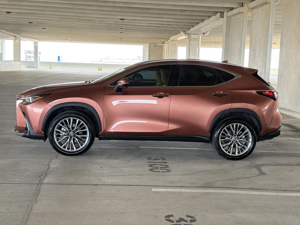 2025 Lexus NX