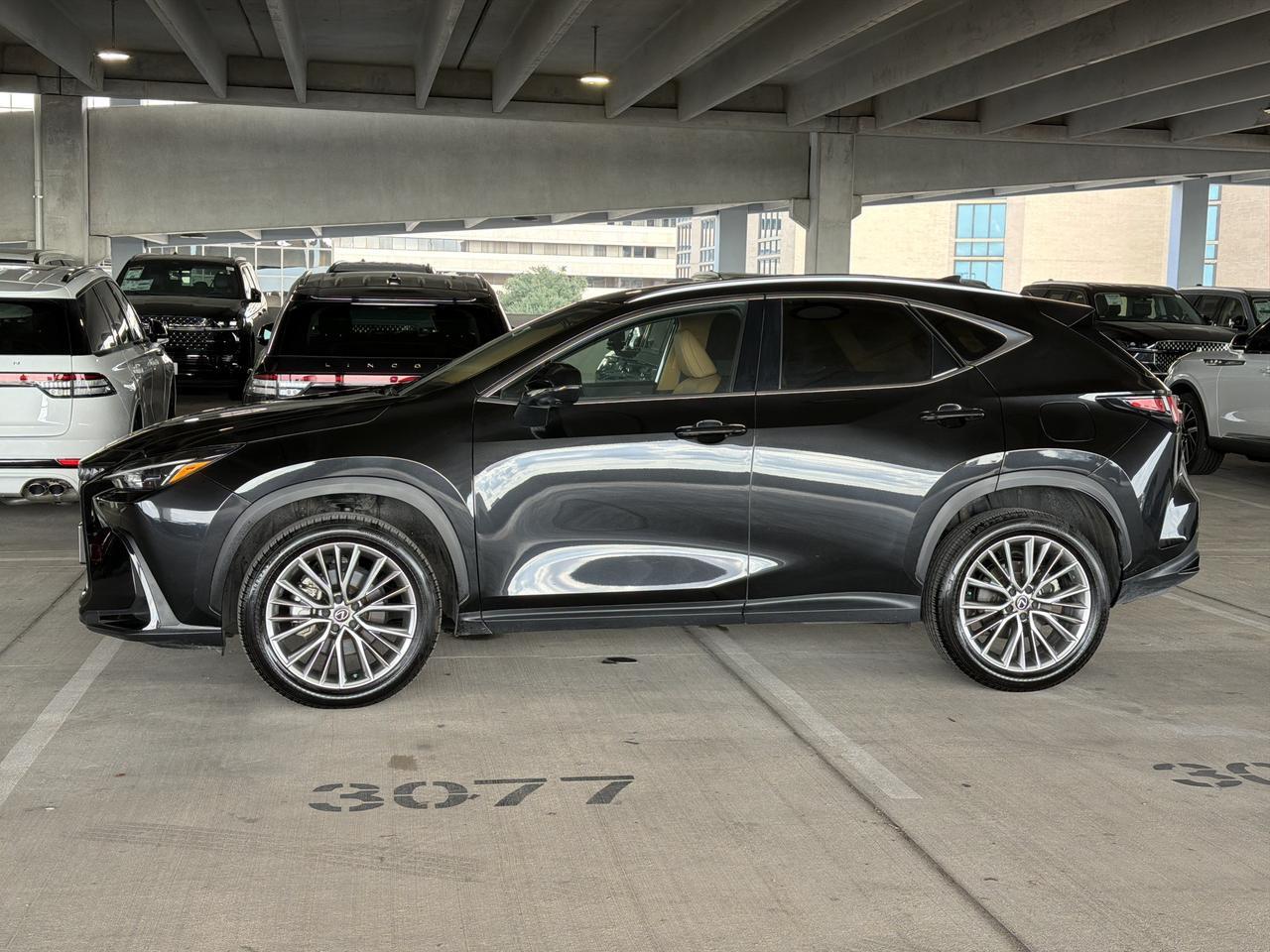 2025 Lexus NX